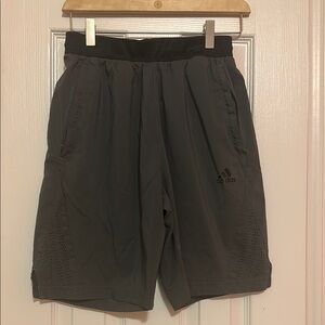 Adidas Men's Gray Shorts